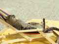 躺着沐浴阳光的动物猫咪爆笑图片