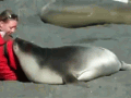 一外国朋友在海滩上与海豹的邂逅，简直萌出内伤了