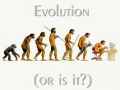 人的进化过程