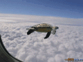 在天上飞的乌龟