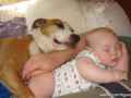 大人小孩和小狗爬在一起睡觉