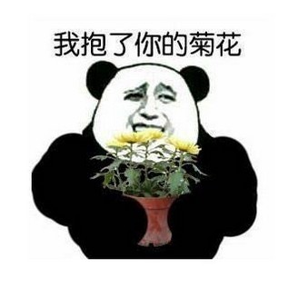 金馆长熊猫头带文字爆笑表情包图片