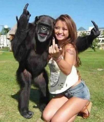 恶搞动物黑猩猩与美女合影图片